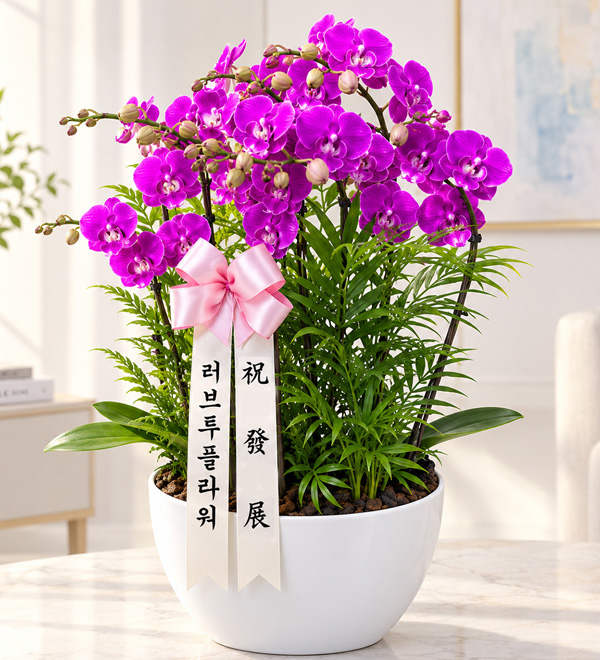 사업번창축하호접란